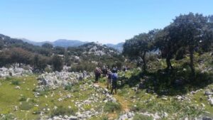 Walking Sierra De Grazalema