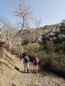Walking #in Blossom Sierra Nevada
