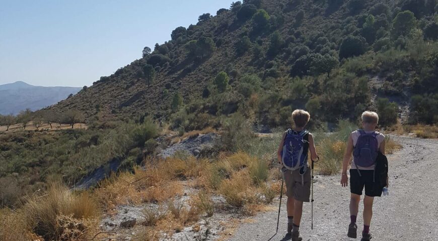 Walking Sierra Nevada