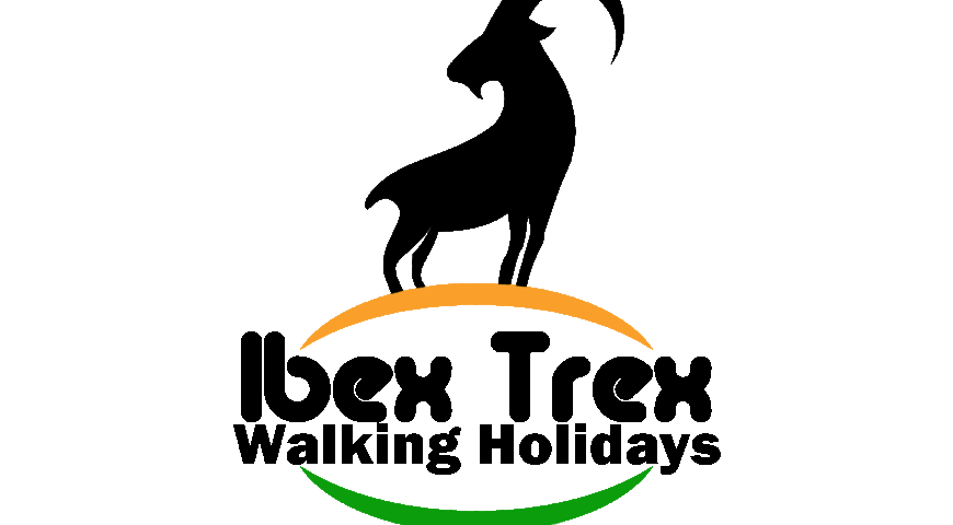 ibex-trex-logo-Recovered